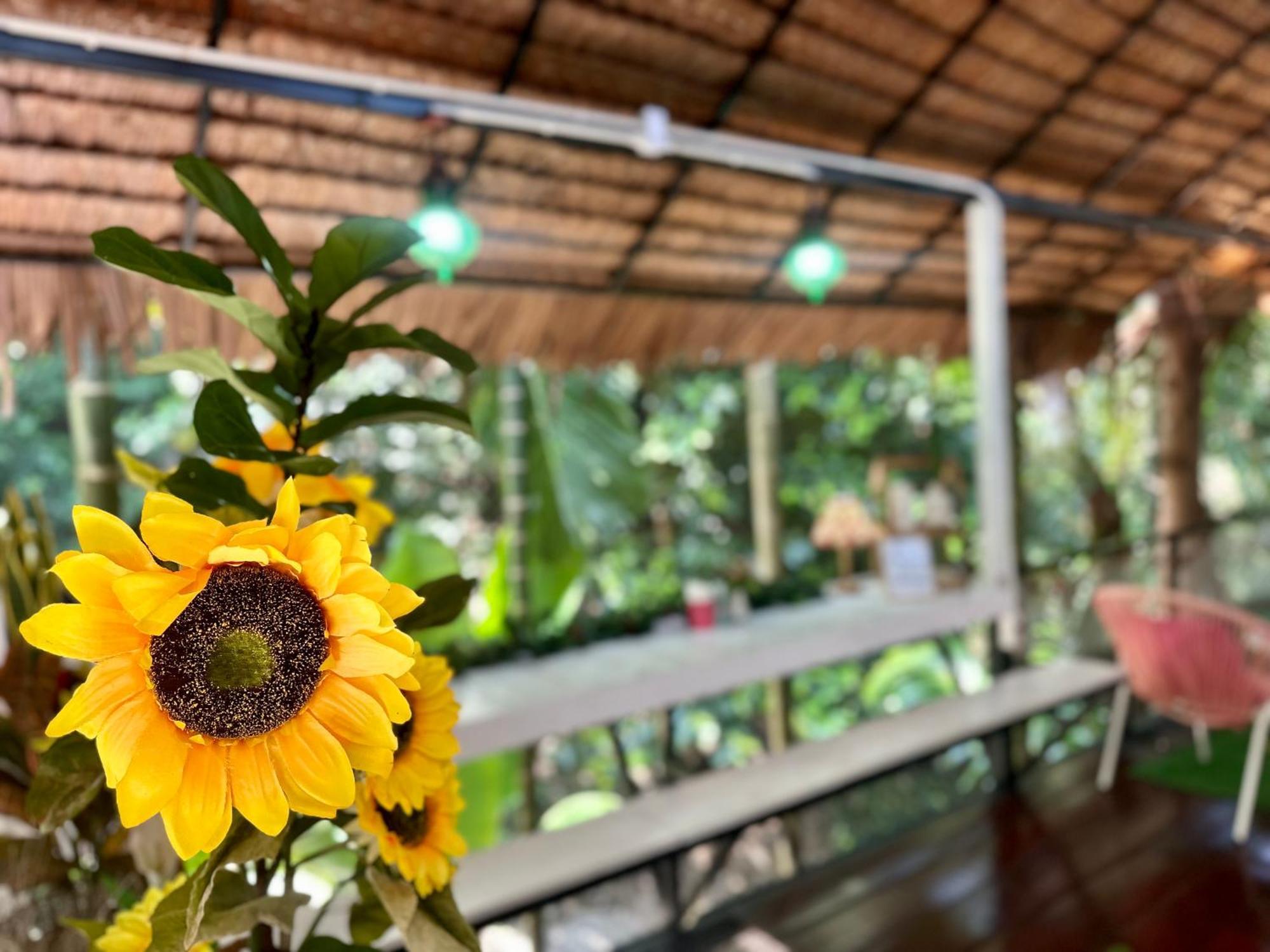 Nua Tone Resort Bang Tao & Cafe Zewnętrze zdjęcie